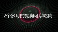 2個多月的狗狗可以吃肉嗎