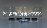 2個多月的狗狗吐了怎么回事怎么辦