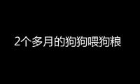 2個多月的狗狗喂狗糧