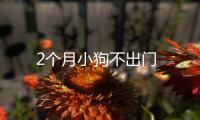 2個月小狗不出門
