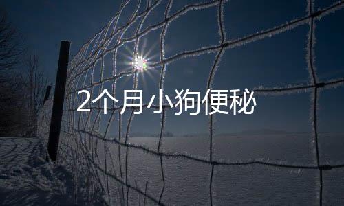 2個(gè)月小狗便秘