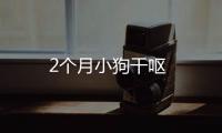 2個月小狗干嘔