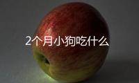 2個(gè)月小狗吃什么