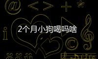 2個月小狗喝嗎啥