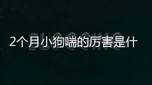 2個(gè)月小狗喘的厲害是什么原因是什么