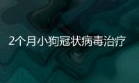 2個月小狗冠狀病毒治療后拉稀