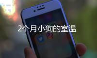 2個(gè)月小狗的室溫