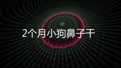 2個月小狗鼻子干