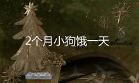 2個月小狗餓一天