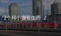 2個月小貓驅蟲藥  2個月小貓驅蟲藥喂多了會導致