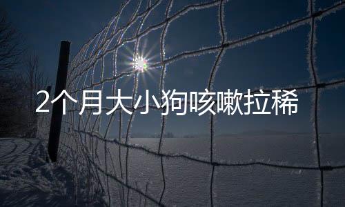 2個月大小狗咳嗽拉稀