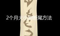 2個月大小狗斷尾方法