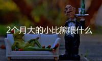 2個月大的小比熊喂什么食物(2個月大的小比熊喂什么好)