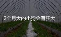 2個月大的小狗會有狂犬病嗎