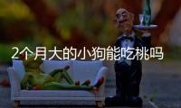 2個月大的小狗能吃桃嗎