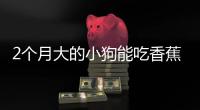 2個月大的小狗能吃香蕉嗎