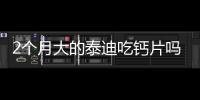 2個月大的泰迪吃鈣片嗎有用嗎？兩個月泰迪能吃鈣片嗎