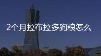2個月拉布拉多狗糧怎么喂好？2個月拉布拉多狗糧怎么喂的