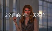 2個月的小狗一天不拉