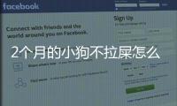 2個月的小狗不拉屎怎么回事
