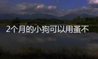 2個月的小狗可以用蚤不到嗎