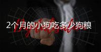 2個(gè)月的小狗吃多少狗糧