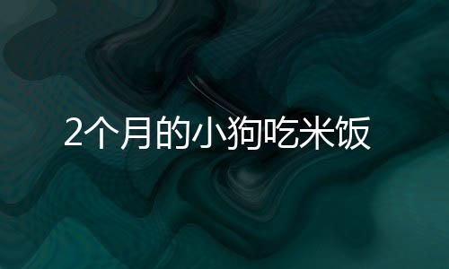 2個月的小狗吃米飯