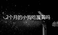 2個月的小狗吃蛋黃嗎