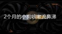 2個月的小狗咳嗽流鼻涕吃什么藥好