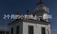 2個(gè)月的小狗晚上一直叫