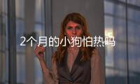 2個月的小狗怕熱嗎
