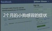 2個月的小狗感冒的癥狀有哪些癥狀