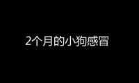 2個月的小狗感冒