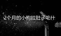 2個月的小狗拉肚子吃什么藥好
