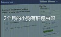 2個(gè)月的小狗有肝包蟲(chóng)嗎