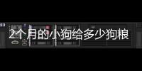2個月的小狗給多少狗糧