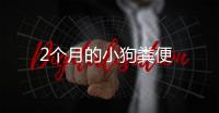 2個(gè)月的小狗糞便