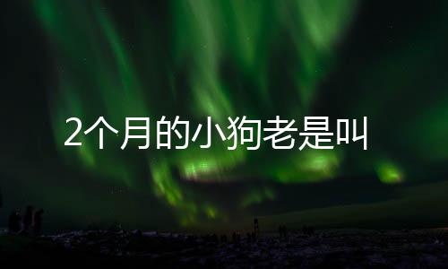 2個月的小狗老是叫
