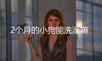 2個(gè)月的小狗能洗澡嘛