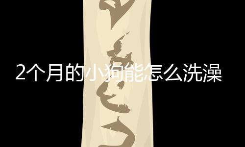 2個月的小狗能怎么洗澡