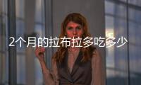 2個月的拉布拉多吃多少狗糧(一個多月的拉不拉多吃多少)