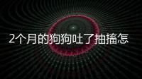 2個月的狗狗吐了抽搐怎么回事啊？兩個月狗抽搐嘔吐