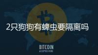 2只狗狗有蜱蟲要隔離嗎