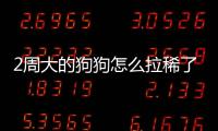 2周大的狗狗怎么拉稀了