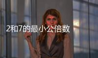 2和7的最小公倍數  2和7的最小公倍數