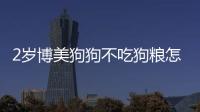 2歲博美狗狗不吃狗糧怎么辦
