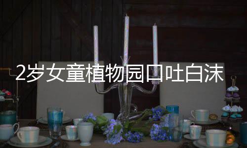 2歲女童植物園口吐白沫突然抽搐