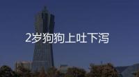 2歲狗狗上吐下瀉