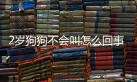 2歲狗狗不會叫怎么回事啊