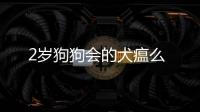 2歲狗狗會的犬瘟么